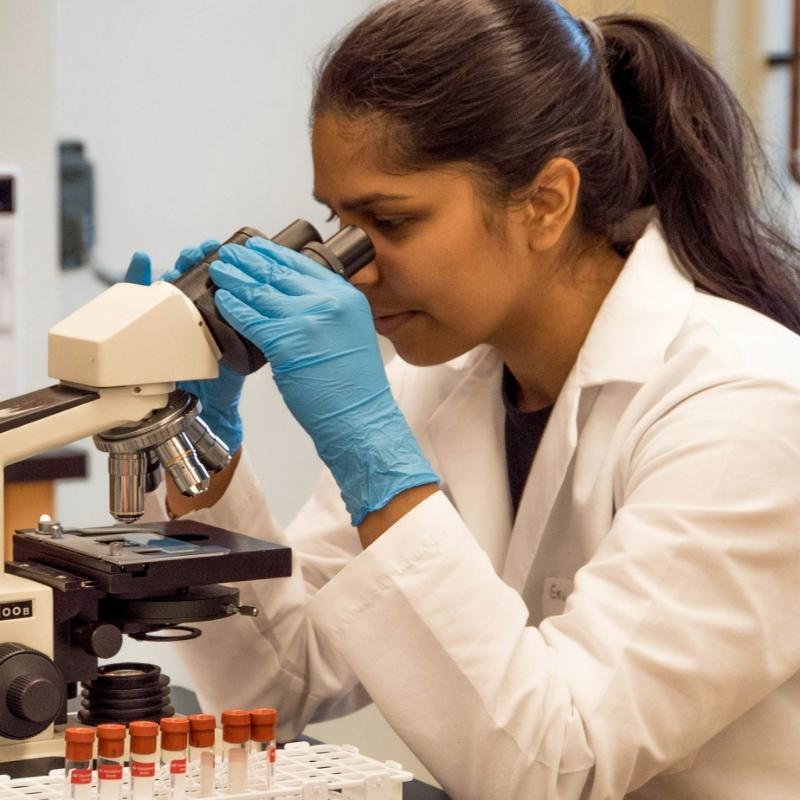 Seus consumíveis de laboratório são seguros ou certificados?