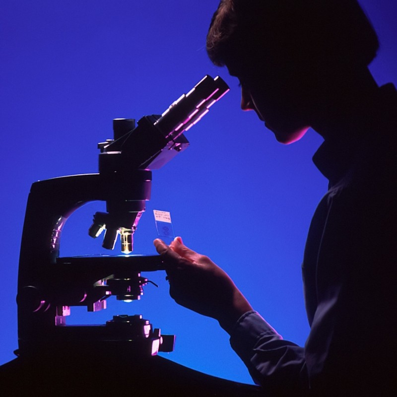 Que perguntas você deve fazer antes de escolher um fornecedor de embalagens para laboratório?