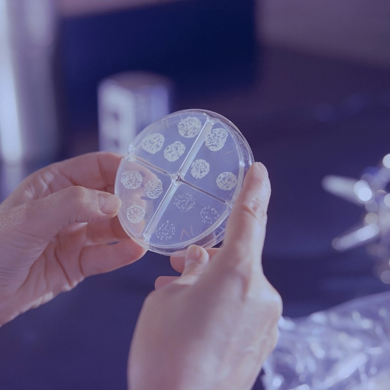 A segurança é primordial? Navegando pelas complexidades do transporte de amostras biológicas